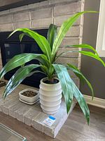 Faux plant in ribbed white ceramic pot, square planter beside