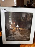 Full view of framed photography showing the image, mat and frame with visible wear and size label.