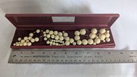 Loose cream/ivory graduated plastic bead necklace inside maroon hard plastic case with clear window. Silver ruler beside case for scale showing approx. 17 inch length.