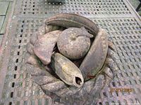 Stone fruit pieces inside rope-rim bowl