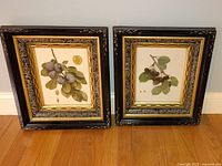 Two ornate framed botanical prints featuring fruit illustrations on wooden floor against a wall.
