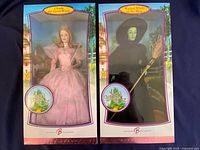 Front view of both Barbie dolls in their original packaging, Glinda the Good Witch and Wicked Witch of the West, showing box design and doll details