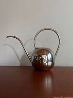 Side view of the polished stainless steel watering can showing spherical shape, curved handle and spout.