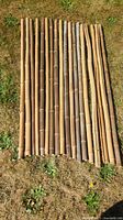 All 18 bamboo poles laid side by side on grass