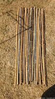 Bundle of 20 bamboo poles laid on grass