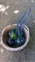 Top-down view of five glass watering globes in basket