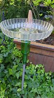 Full view of bird bath showing fluted glass basin on green bottle stem and metal pole