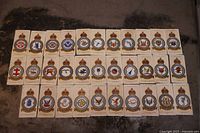 Full set of 32 Royal Air Force squadron cigarette cards laid out on a surface, displaying various colorful squadron crests with crowns on top. Cards are arranged in four rows and have visible wear around the edges.