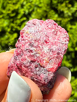 Close-up photo of the raw ruby specimen held between fingers showing natural texture and deep red color.