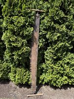 Full view of the large antique cross-cut saw leaning against green bushes, showing the entire length with wooden handles attached.