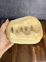 Front-side view of fossil teeth embedded in sand-casting, held in hand for size reference