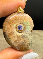 Front view of the pendant showing the ammonite fossil with iridescence and tanzanite center set in yellow gold.