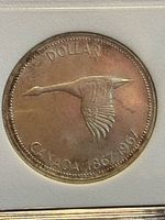 Front side of the coin showing a flying Canada goose, 'DOLLAR' and 'CANADA 1867/1967' inscriptions.