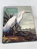 Photo of the book front cover with bird watercolor painting on dust cover.