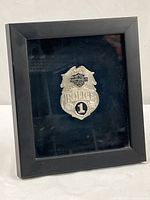 Overall view of the framed badge showing size, black frame, and velvet background