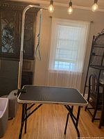 Front view of the dog grooming table showing black anti-slip tabletop with silver edges and blue neck loop noose hanging from the adjustable grooming pole.