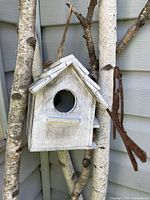 White wooden birdhouse hanging on birch tree branches, showing front and side views with circular entrance and pitched roof.
