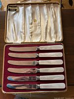 Set of six Viners knives with mother of pearl handles in a satin-lined burgundy velvet base case showing knives laid out