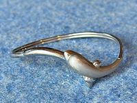 Side view of the silver dolphin bangle bracelet on a blue textured surface to show the dolphin design and shape.