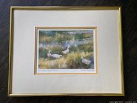 Framed print showing four white ducks in green and brown marshland with water reflections