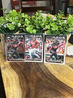 Three Elly De La Cruz rookie cards displayed vertically with plants behind them, showing front card details and colors.