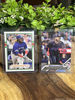 Two Vladimir Guerrero Jr. baseball cards in protective sleeves shown standing upright with green plants in background.
