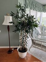 Full view of Dracaena plant with black nursery pot inside white decorative pot on metal stand next to a floor lamp and seating area.