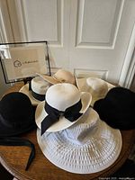 Eight assorted women's hats displayed on a wooden surface in front of white doors showing colors and variety of styles including sun hats, cloche hats, fur-textured black hat.