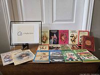 Overview of 14 vintage youth books with varied illustrated covers, showing them arranged on a flat surface