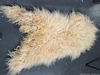 Full view of the cream-colored lamb skin rug showing its natural curly fleece and irregular edges.