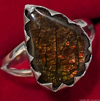 Close-up of the teardrop-shaped Canadian ammolite gemstone on the ring showing detailed iridescence and jagged silver prongs.