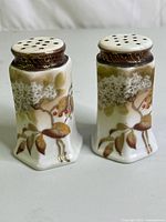 Front view of the hand painted floral salt and pepper shakers, showing detailed flower and leaf design with brown textured tops.