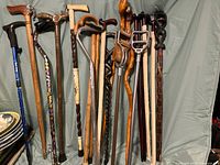 Photo showing a full view of 15 assorted walking sticks and canes standing upright, displaying a variety of designs and materials including wooden, metal, and ergonomic grips.