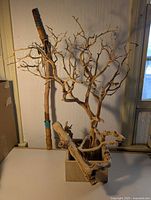 Full view of the 34-inch driftwood tree sculpture and 38-inch hiking stick placed side by side against a wall, showing natural wood color and texture.