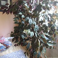 Front view of the artificial ficus tree showing detailed leaves and maroon undersides.