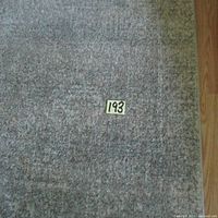 Close-up photo of the grey textured area rug showing fibers and some pet hair visible.
