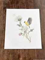 Full view of the Glen Loates art print featuring a goldfinch bird on flowers on a wooden surface.