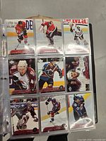 Photo showing front of assorted hockey cards in plastic sleeves featuring different NHL players in action poses.