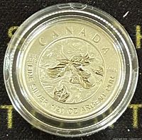 Close up of the reverse side showing the stylized maple leaf and inscriptions indicating 99.99% silver and 1/20 oz weight.