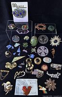 Overview of diverse brooches and pins displayed on black cloth, showing signed and unsigned pieces in various shapes and colors.