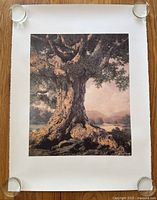 Print of a large, old tree in a landscape with rocky ground and mountains seen in the background, mounted on a wooden surface with clear clips