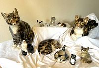 Overall arrangement of twelve ceramic cats on draped fabric and two-level display