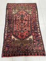 Full view of the Hamadan rug displaying its central medallion, border, and color details.