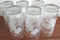 Front view of six tall cylindrical highball glasses with frosted etched pine cone designs.