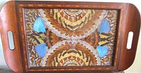 Top view showing full surface of wooden tray with multicolored mosaic pattern from butterfly wings beneath glass.