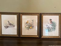 Three framed bird prints resting on a surface, showing each print surrounded by ornate gold frames