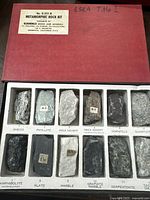 Top-down view of compartmentalized white foam tray inside red box lid holding 12 labeled metamorphic rock samples including Gneiss, Phyllite, Mica Schist (two samples), Hornfels, Quartzite, Amphibolite, Slate, Marble, Graphite Marble, Serpentinite