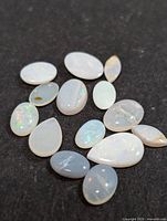 Top view photo of 14 polished genuine opal gemstones of varying sizes and shapes on a black background showing iridescent color flashes.