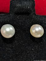 Front view of two round freshwater pearl stud earrings on black display.
