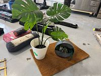 Full view of the faux Monstera plant in white pot alongside the round metal succulent container on coir mat, showing size and condition.